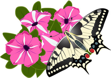 Similar image 559172