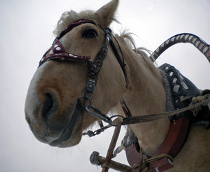 Similar image 559180