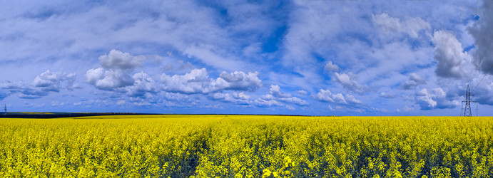 Similar image 559185