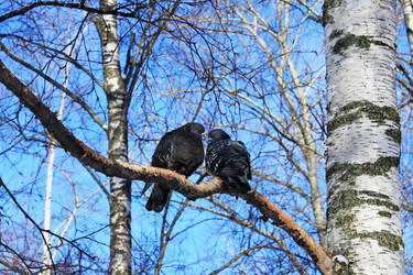 Similar image 559196