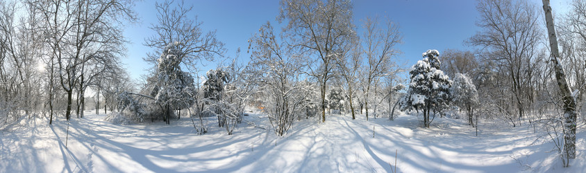 Similar image 559224