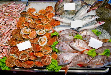 Similar image 559229