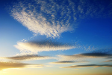 Similar image 559302