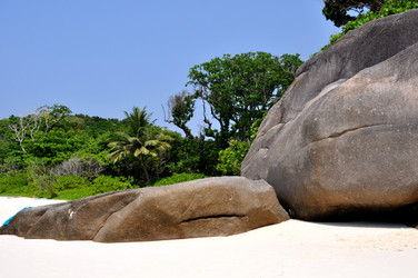 Similar image 559316