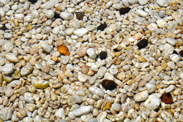 Similar image 559331