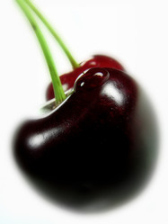 Similar image 559334