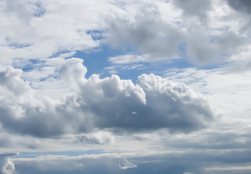 Similar image 559345