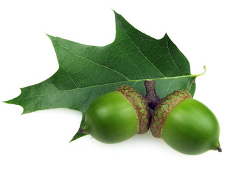 Similar image 559358