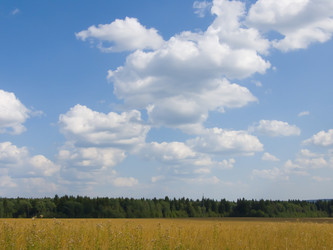 Similar image 559360