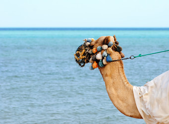 Similar image 559579