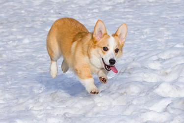 Similar image 559664