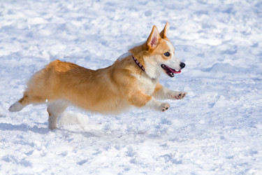 Similar image 559665