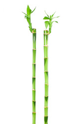 Similar image 559814