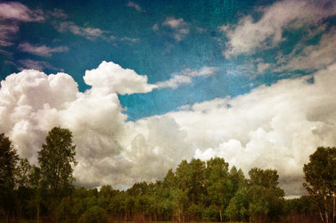 Similar image 559840