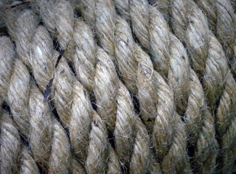 Similar image 559906