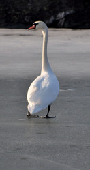 Similar image 560167