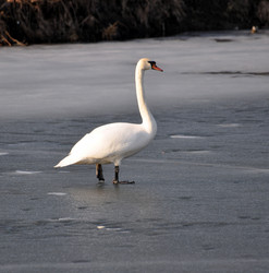 Similar image 560168