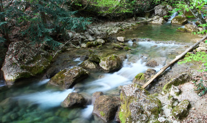 Similar image 560380