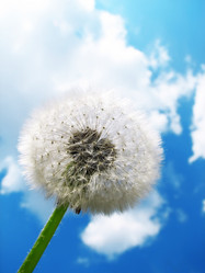 Similar image 560471