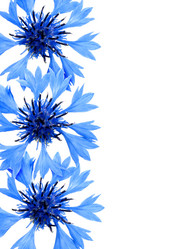 Similar image 560477