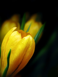 Similar image 560486