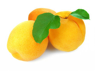 Similar image 560489