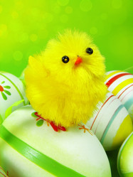 Similar image 560499