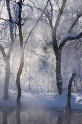 Similar image 560657