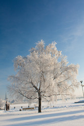 Similar image 560773