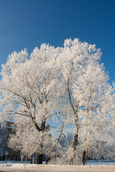 Similar image 560783