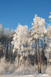 Similar image 560785