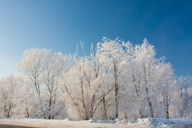 Similar image 560786