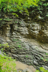 Similar image 560804