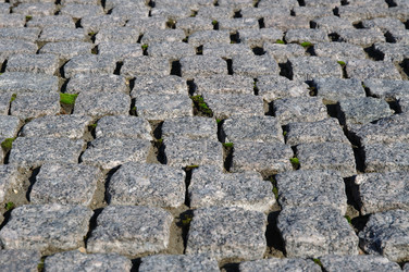 Similar image 560807