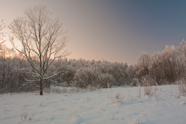 Similar image 560817