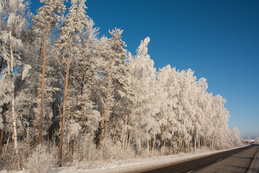 Similar image 560815