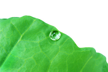 Similar image 561164