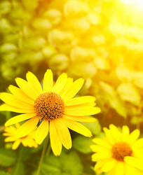 Similar image 561225