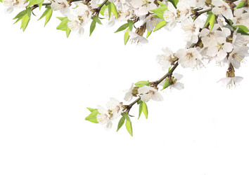 Similar image 561242