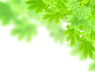 Similar image 561257