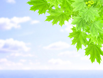 Similar image 561270