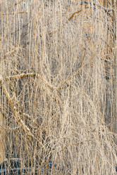 Similar image 561623