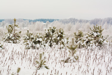 Similar image 561627