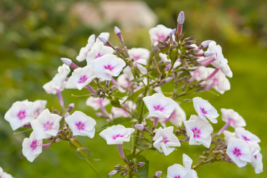 Similar image 561647