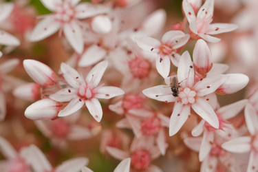 Similar image 561650