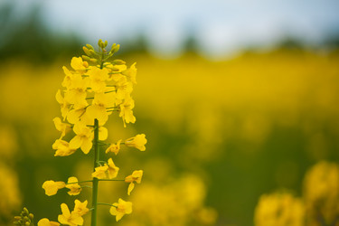 Similar image 561654