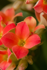 Similar image 561657