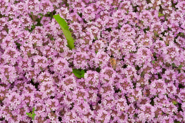 Similar image 561659