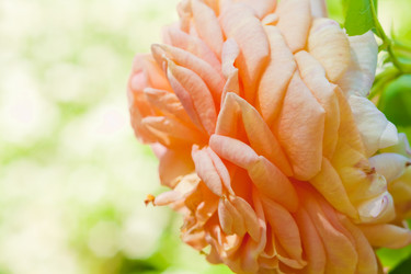 Similar image 561667