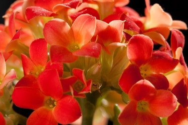 Similar image 561669